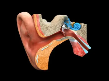 Tiroglossal Duktus (Kanal) Kisti Nedir - Dr. Burak Olgun